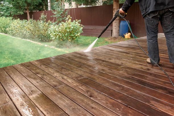 Best Driveway Pressure Washing  in Taylor, MI