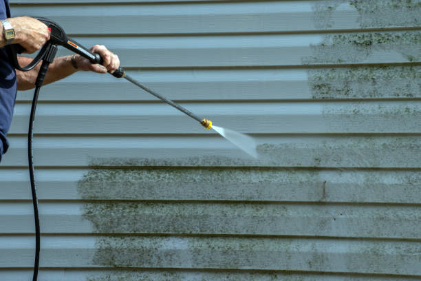 Boat and Dock Cleaning in Taylor, MI