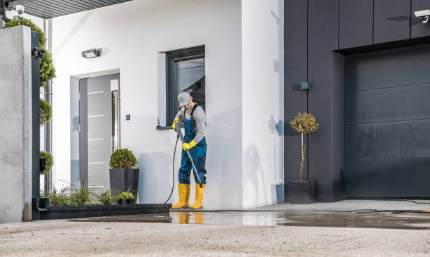 Animal Enclosure Cleaning in Taylor, MI